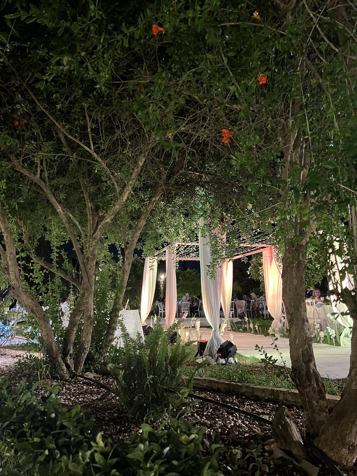 Jardin d'Alysse, vergers